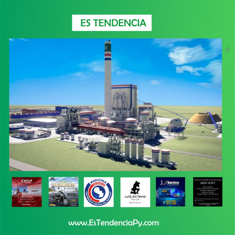 Planta de celulosa ya cuenta con licencia para producir su energía.