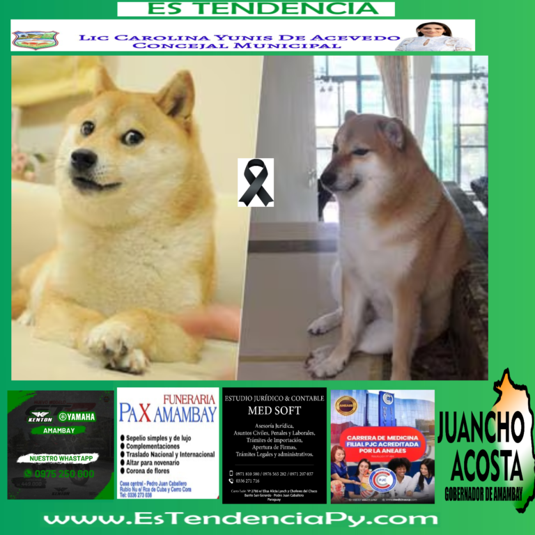 Muere Kabosu, la perra shiba inu que inspiró el meme Doge y la criptomoneda Dogecoin.
